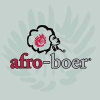 Afro Boer