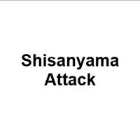 Shisanyama Attack