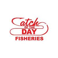 Catch Of The Day