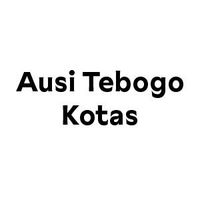Ausi Tebogo Kotas