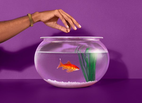 Pet Care delivery straight to your door