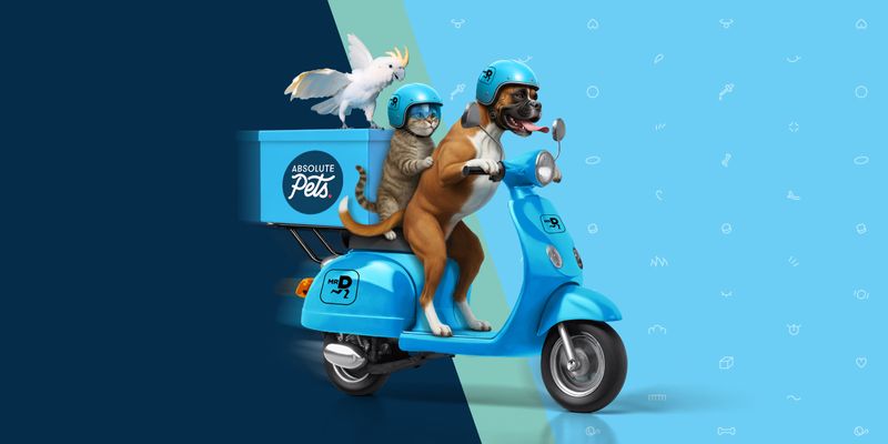 Absolute Pets
